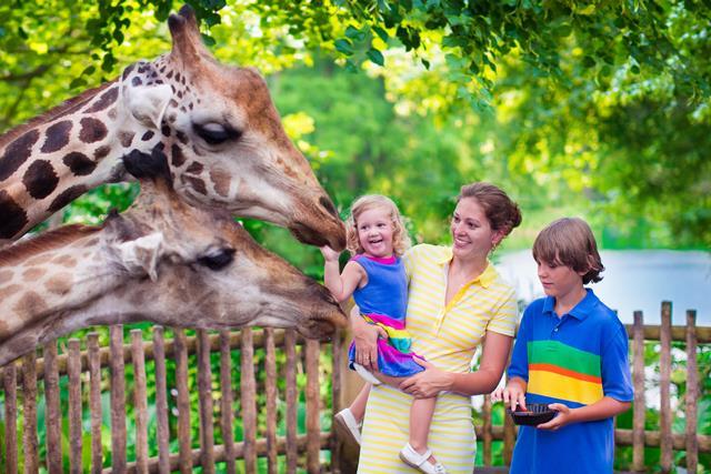 ZDE SE DOZVÍTE O AKCI S RBP V ZOO OSTRAVA DEN ZDRAVÍ S RBP V ZOO OSTRAVA