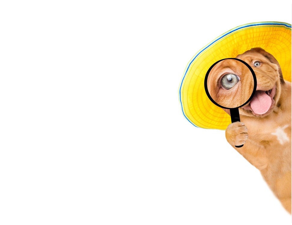 Měření zraku měření zraku