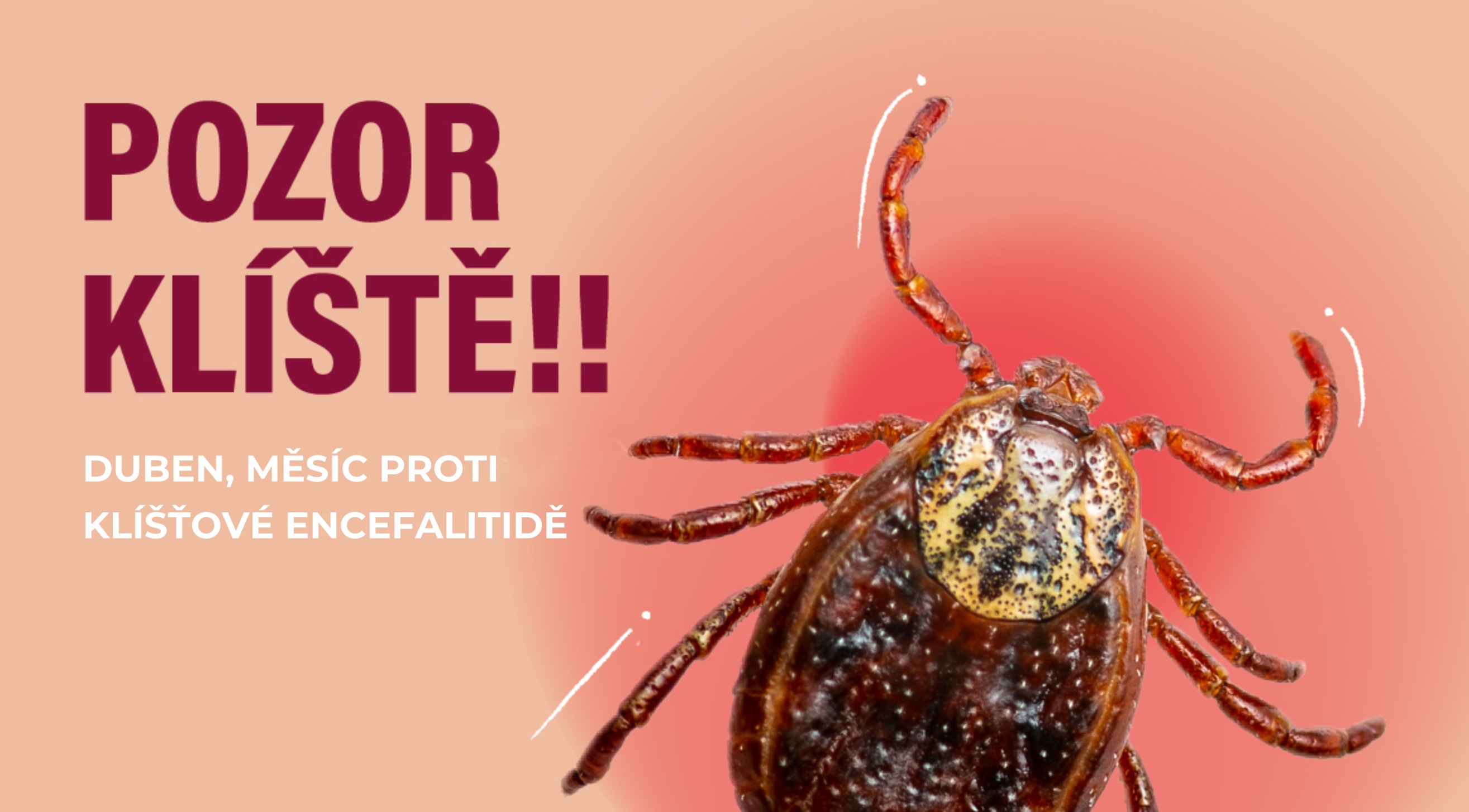 Duben proti klíšťové encefalitidě!