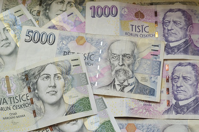 Amnestie Milostivé léto odpustila dlužníkům RBP 8,3 milionů korun