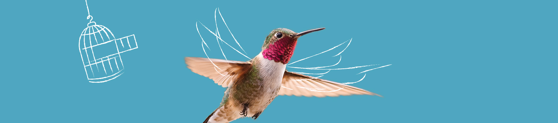 Bezbariérový web RBP