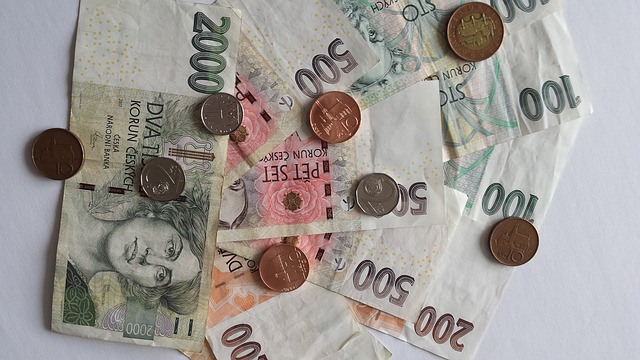 RBP vrátila za léky 11 milionů korun