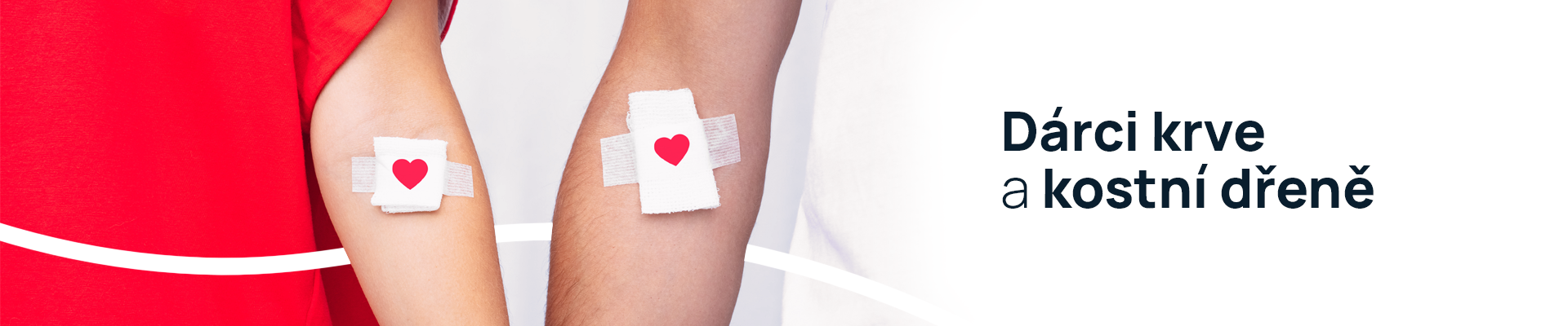 Dárci krve a kostní dřeně