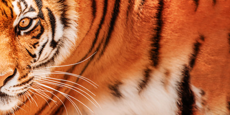 30. 09. Den s RBP v ZOO Hodonín