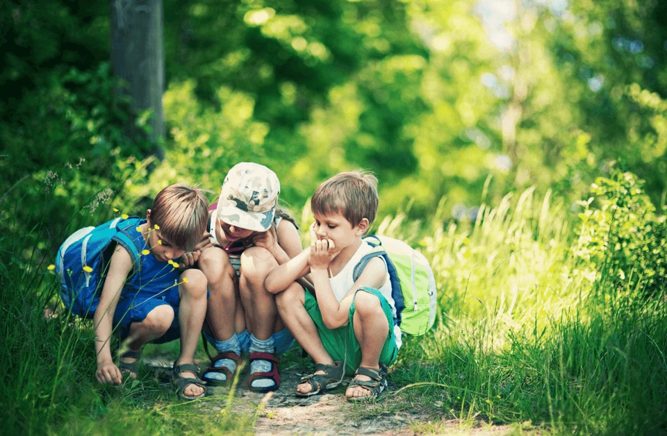 Školka a škola v přírodě