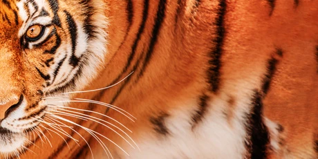 Den s RBP v ZOO Hodonín 2026