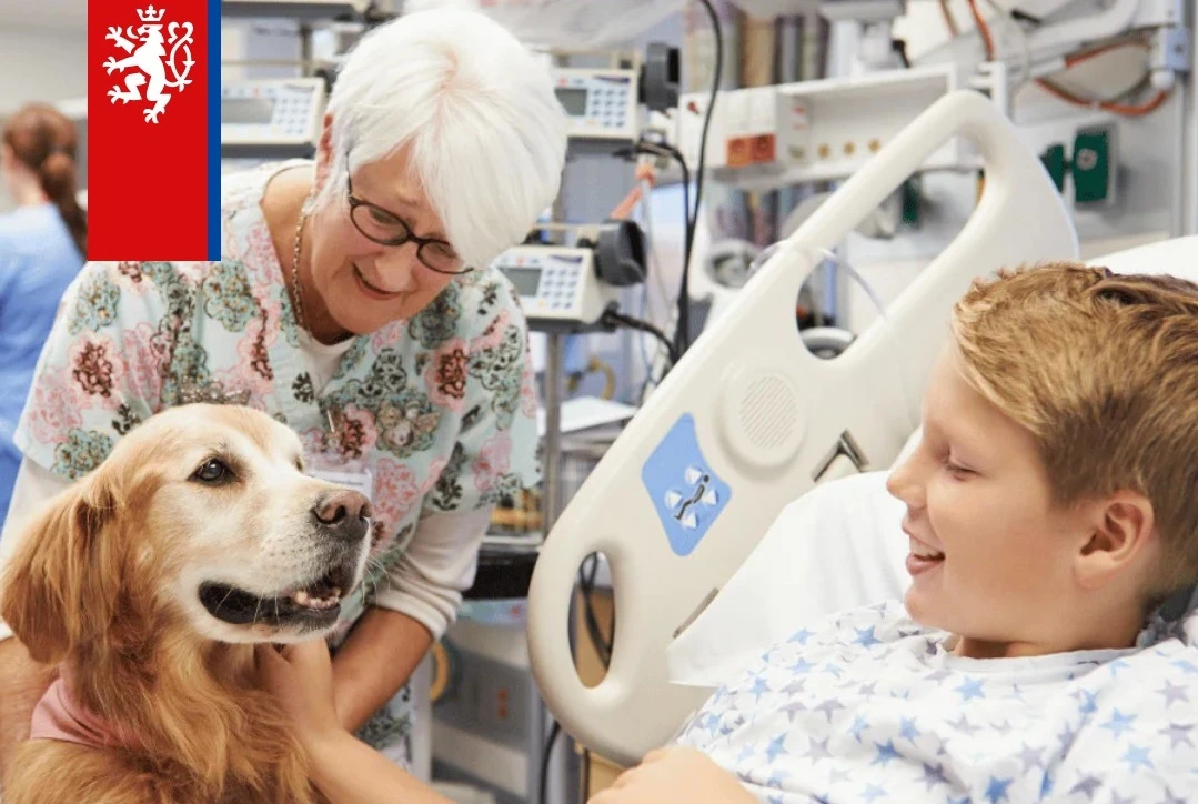 Dobrovolníci ve zdravotnictví pomáhají tisícům pacientů